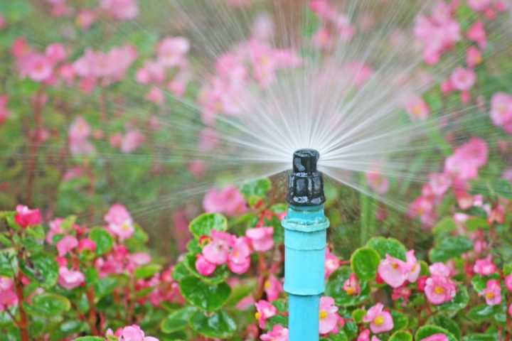 Révolutionnez l’arrosage de votre jardin avec nos systèmes d’irrigation high-tech