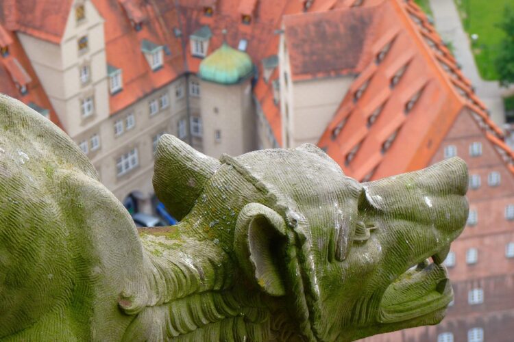 Puisard bloqué : les signes qui ne trompent pas et comment y remédier