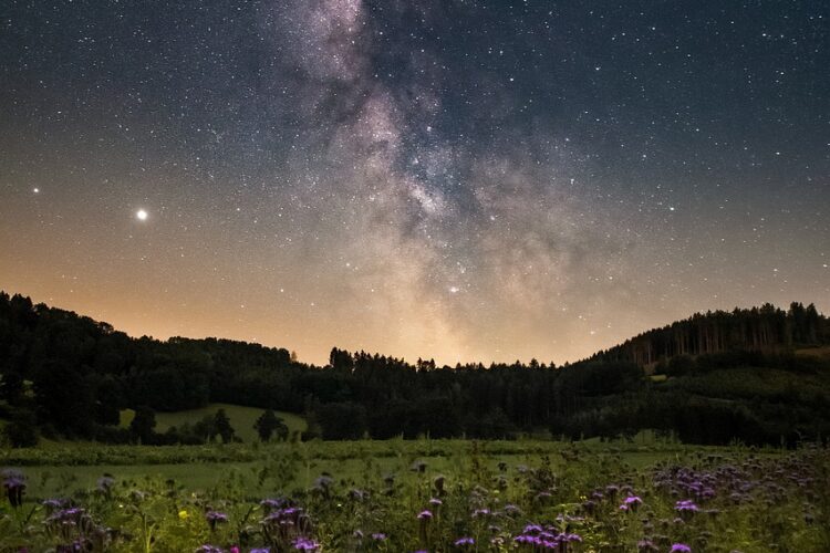Petite piscine, grand confort : optimiser l’espace extérieur