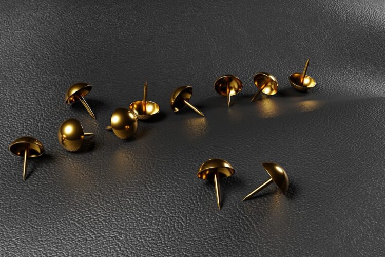 Cuir ou tissu : quelle sellerie choisir pour votre véhicule ?