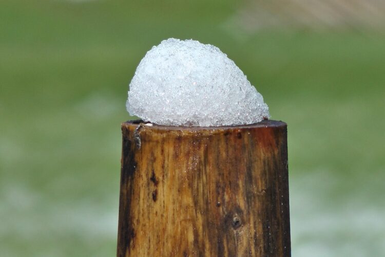 Piquets de bois résistants : la solution durable pour vos clôtures
