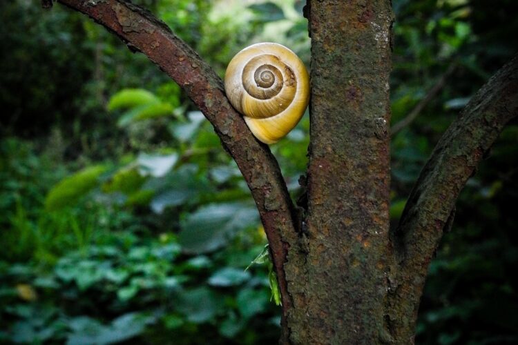 Fiabilisez l&rsquo;ouverture de votre portail avec les capteurs de dernière génération