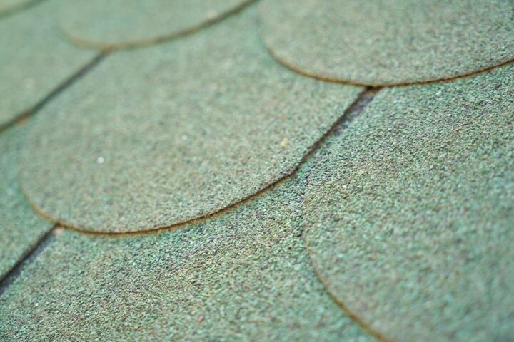 Zoom sur les atouts qui séduisent des toitures vertes