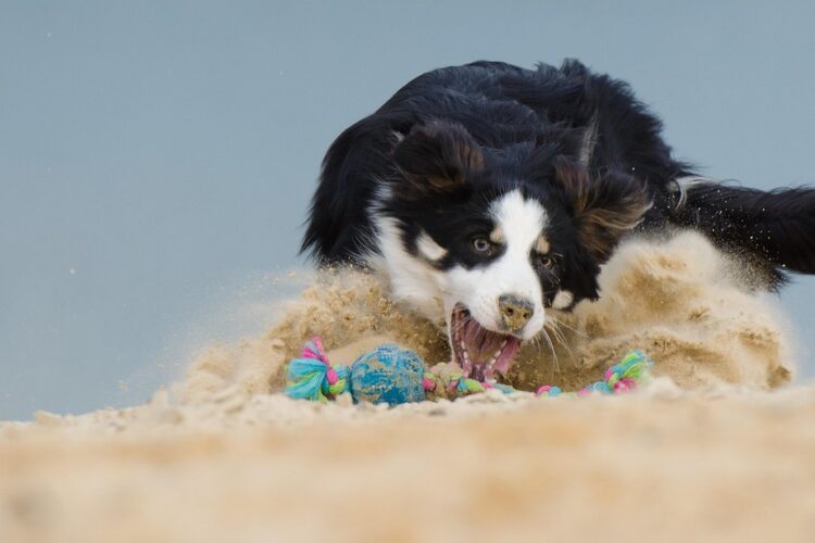 Sablage : la technique idéale pour décaper le métal rapidement