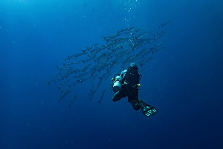 Scaphandrier : l’un des métiers les plus insolites et exigeants au monde