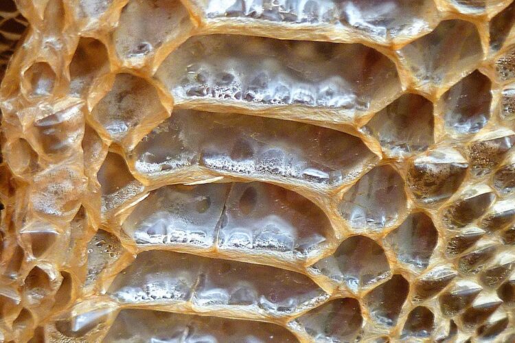 Délestage et chauffage électrique : que faire ?