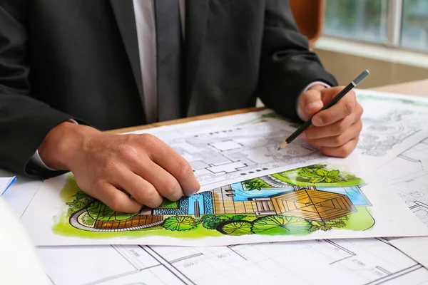 5 étapes clés pour dessiner le jardin de vos rêves