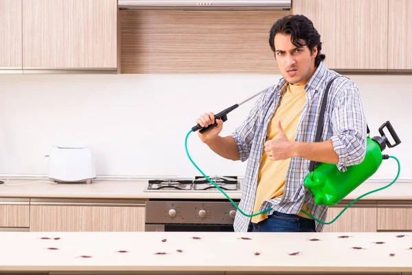 5 gestes simples pour rendre votre cuisine totalement hermétique aux fourmis