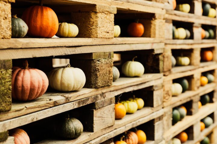 Palette neuve : choisir l’essence de bois selon vos charges
