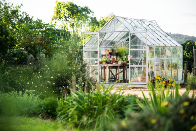 Comment sécuriser son abri de jardin contre le vol d&rsquo;outils ?