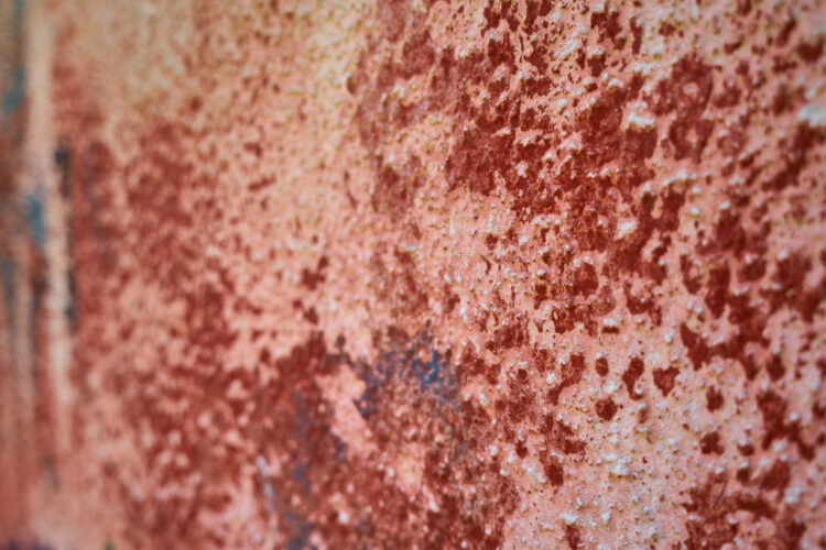 Pourquoi les algues rouges reviennent toujours au même endroit de la façade ?