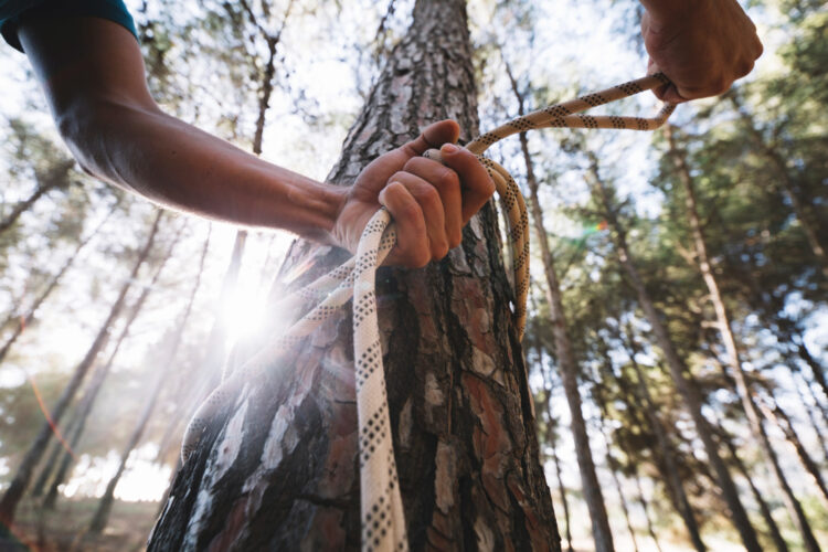 Haubanage : quand la technologie se met au service de l&rsquo;arboriculture