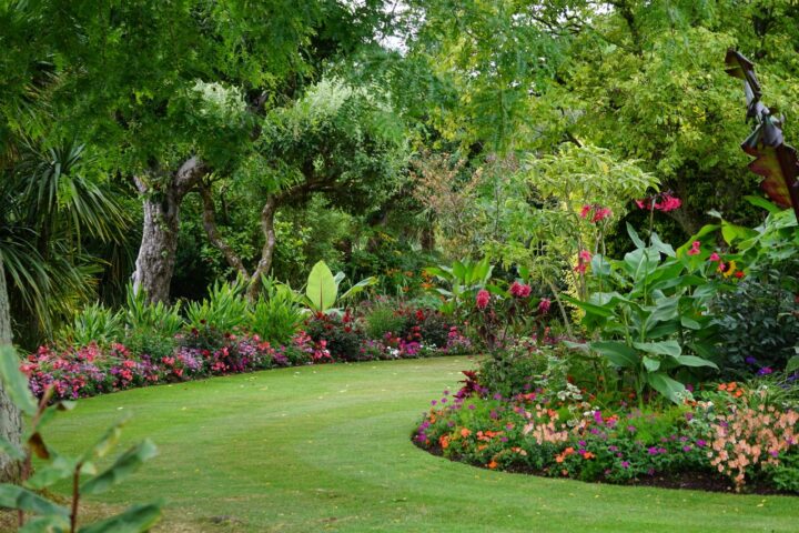 Biodiversité : créer des habitats naturels pour la faune du jardin