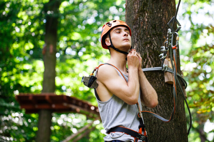 Élagage en hauteur : les équipements de sécurité indispensables pour l&rsquo;arboriste