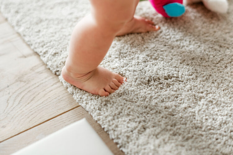 Tapis à poils coupés : dans quelles pièces privilégier cette finition ?