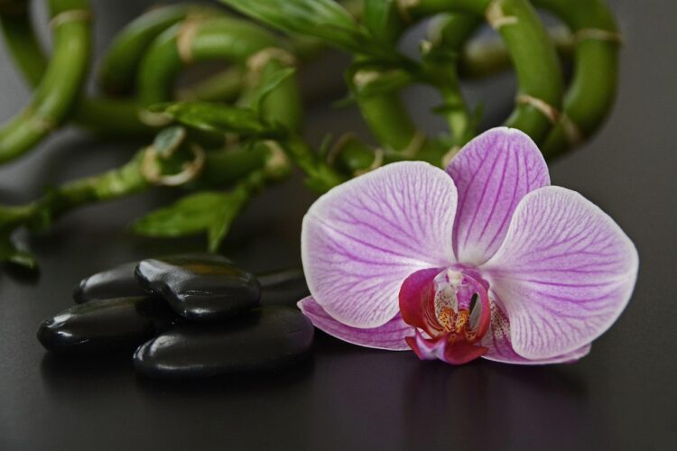 Le Feng Shui, l&rsquo;art de faire circuler les énergies positives chez soi