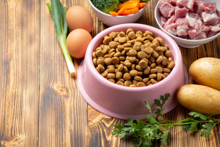 Recette de pâtée maison pour chien : à faire soi-même